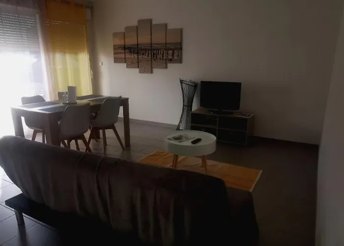 Appartement T2 Accessible Pmr Avec Terrasse Et Garage